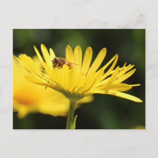 Postal Busy Bee