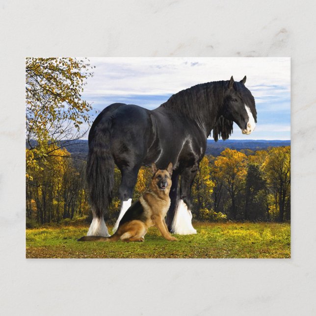 Postal "Butch and Blackbird" (Anverso)