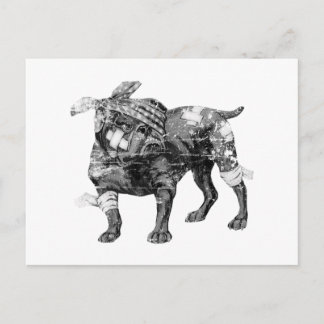 Postal Butch vintage en BW