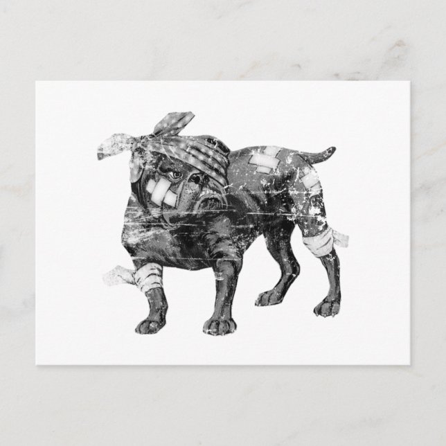 Postal Butch vintage en BW (Anverso)