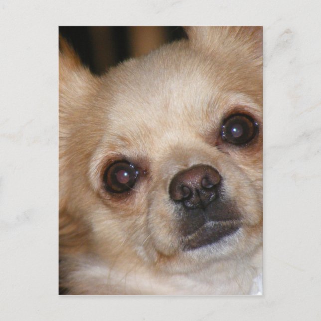 Postal Butter (Anverso)