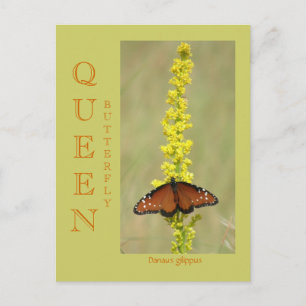 POSTAL BUTTERFLY DE QUEEN