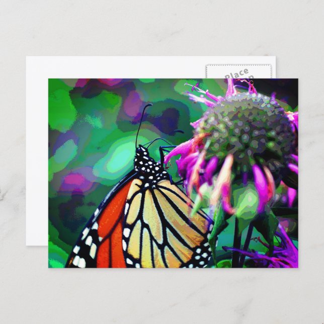 Postal Butterfly On Flower Nature Art Personalized (Anverso / Reverso)