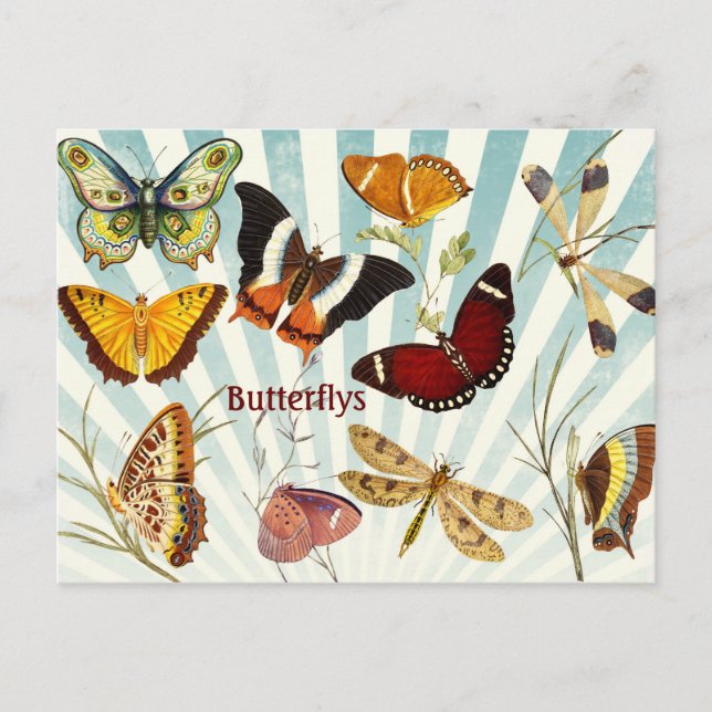 Postal Butterflys (Anverso)