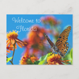 Postal Butterly de Florida