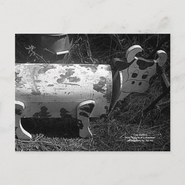 Postal Buzón de correo de vaca (Anverso)