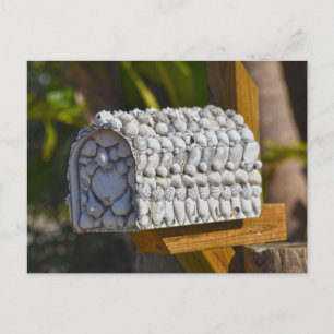 Postal Buzón Shell, Fort Myers Beach, Florida