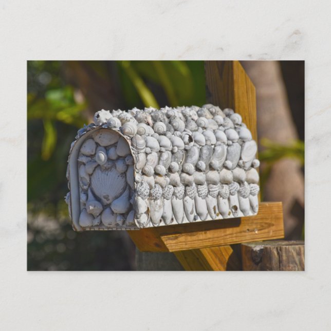 Postal Buzón Shell, Fort Myers Beach, Florida (Anverso)