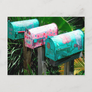 Postal Buzones pintados a mano en Florida