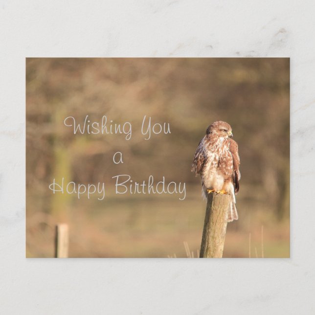 Postal Buzzard (Anverso)