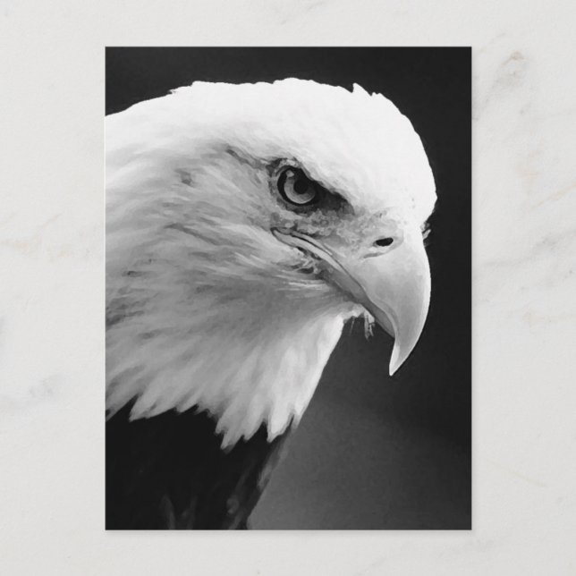 Postal BW Bald Eagle (Anverso)