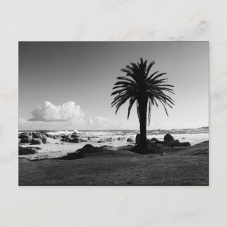 Postal BW JTG "Camps Bay South Africa"