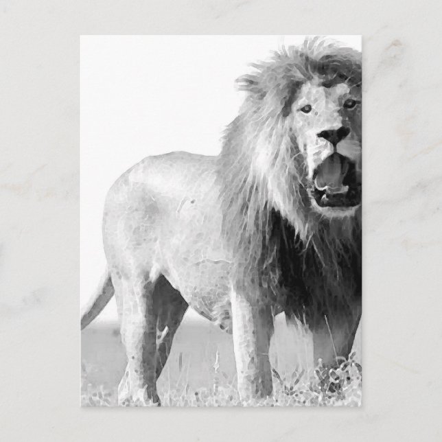 Postal BW Lion (Anverso)