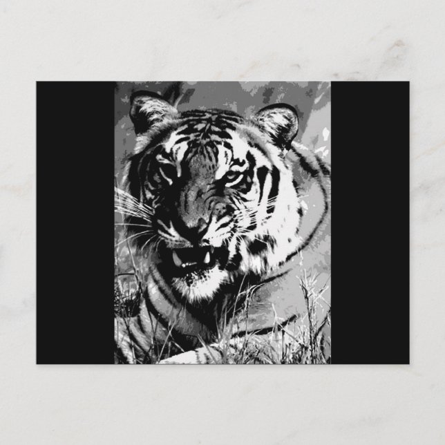 Postal BW Tiger (Anverso)