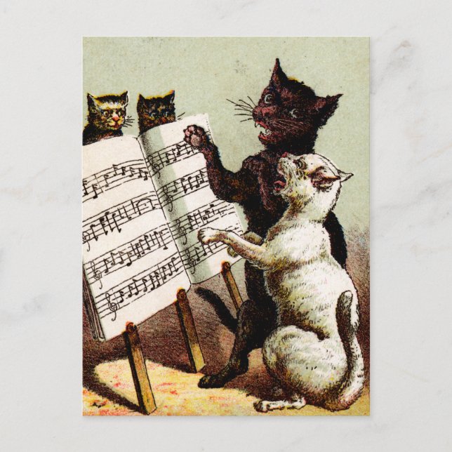 Postal C. 19. Cantando gatos (Anverso)