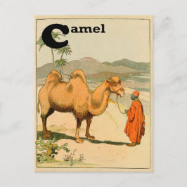 Postal C es para Camel - Alphabet Animal