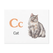 C es para Cat - Alphabet Flash Card