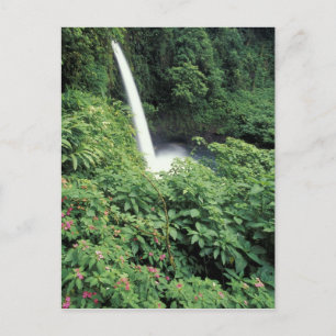 Postal CA, Costa Rica. Catarata La Paz y balsaminas