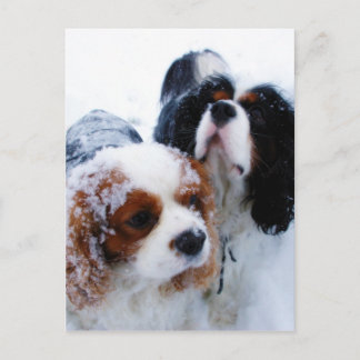Postal Caballeros en la nieve