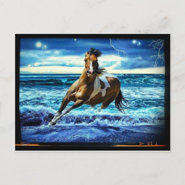 Postal Caballito d emar (Anverso)