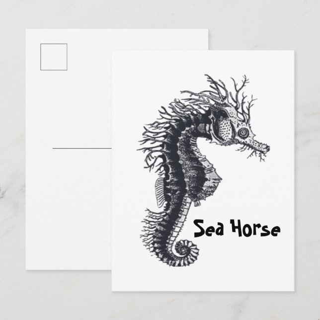 POSTAL CABALLITO DE MAR (Anverso / Reverso)