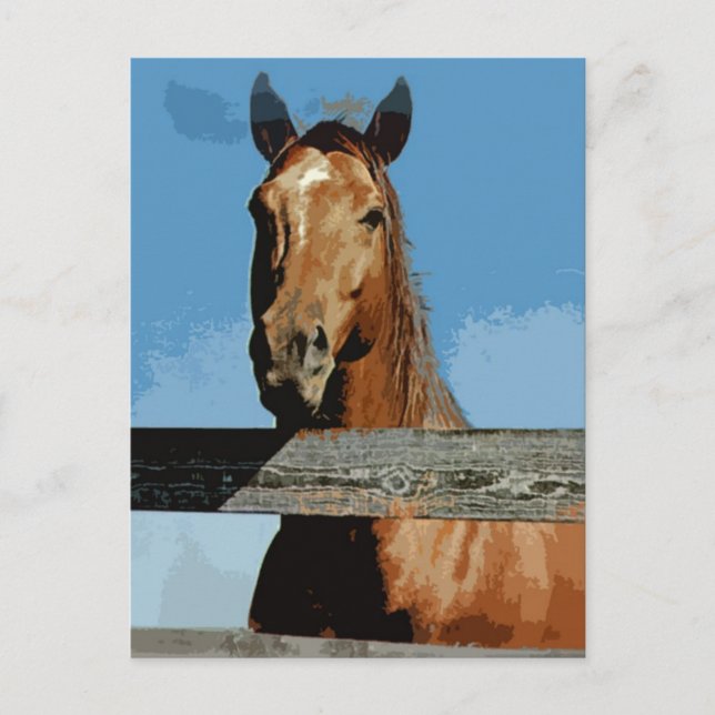 Postal Caballo (Anverso)