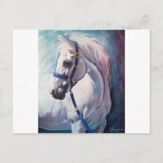 Postal Caballo
