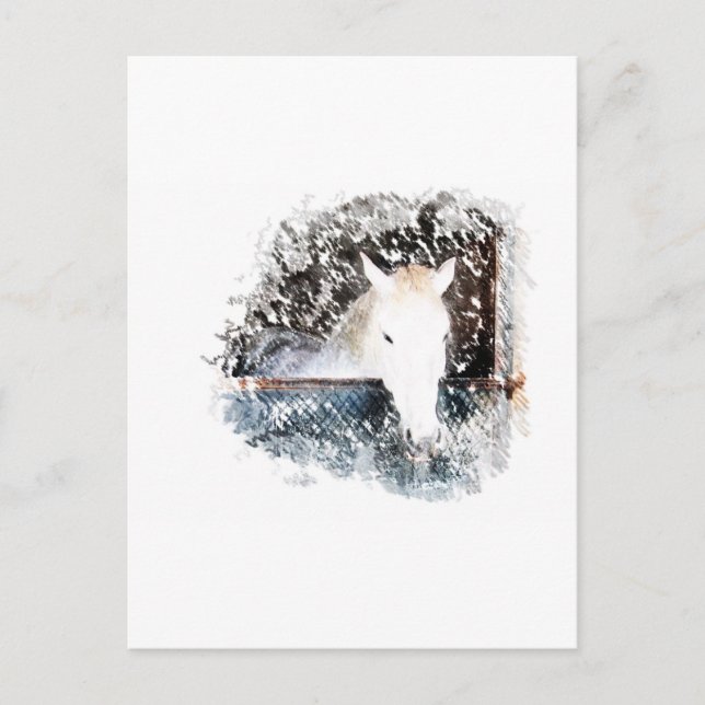 Postal Caballo (Anverso)