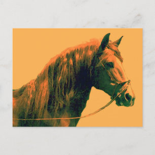 Postal Caballo