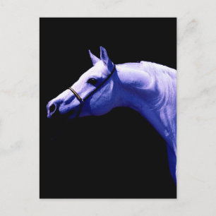 Postal Caballo