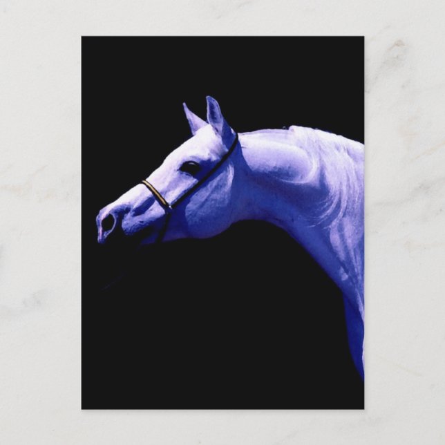 Postal Caballo (Anverso)