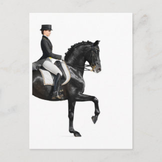 Postal Caballo