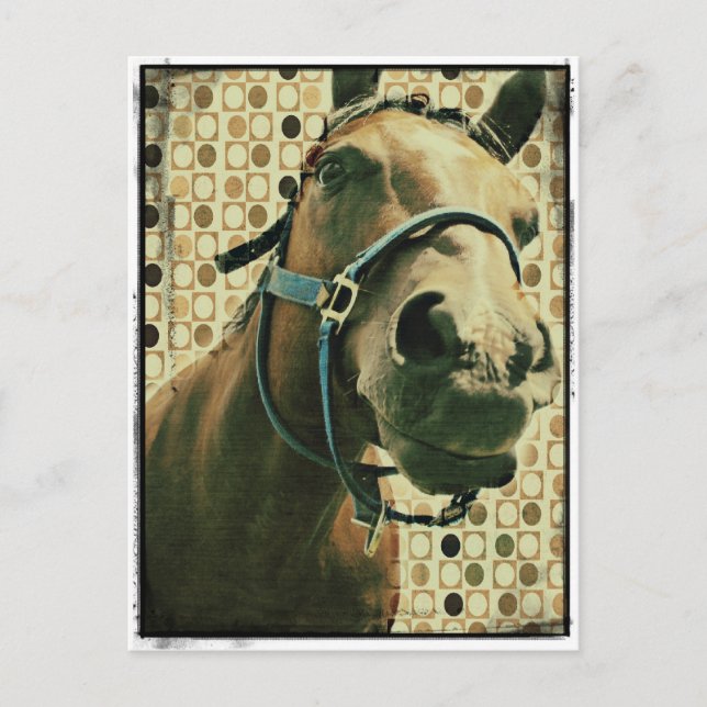 Postal Caballo (Anverso)