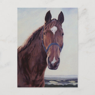 Postal Caballo