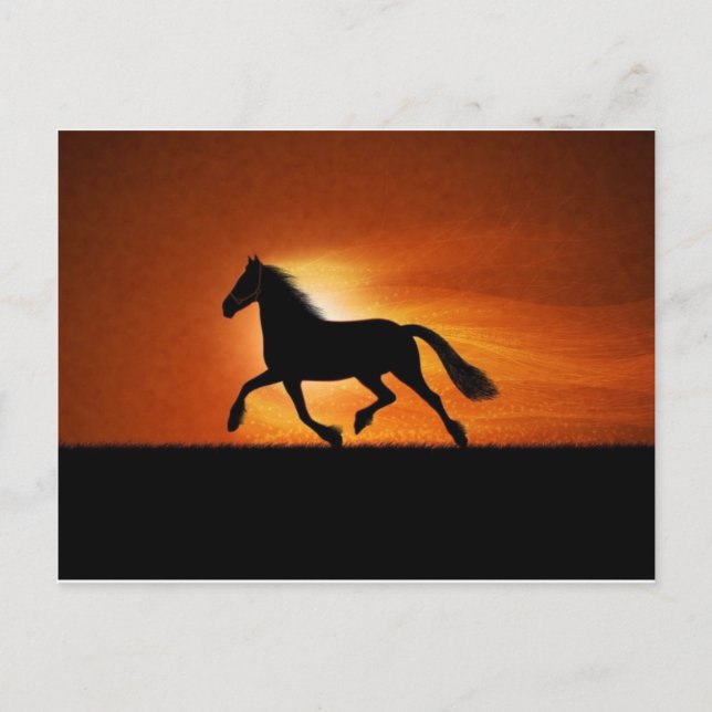 Postal caballo (Anverso)