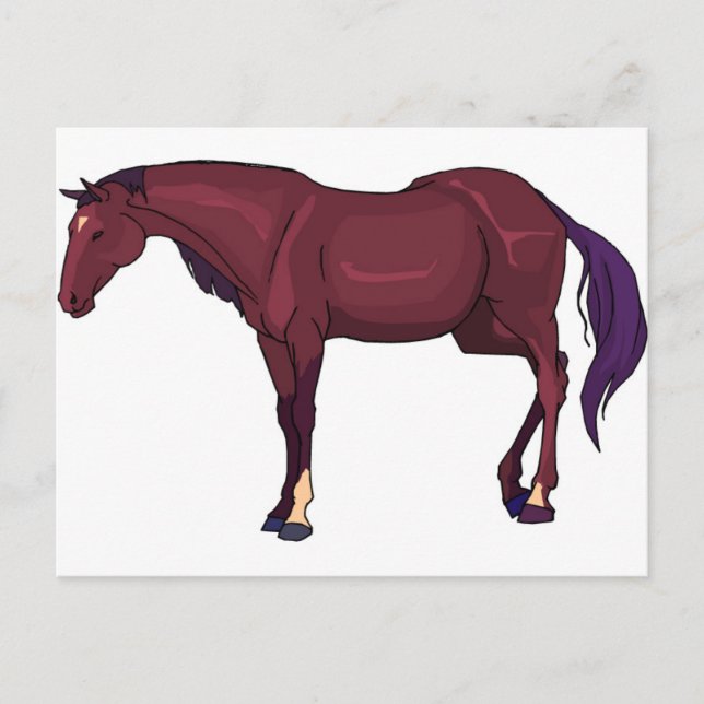 Postal caballo (Anverso)