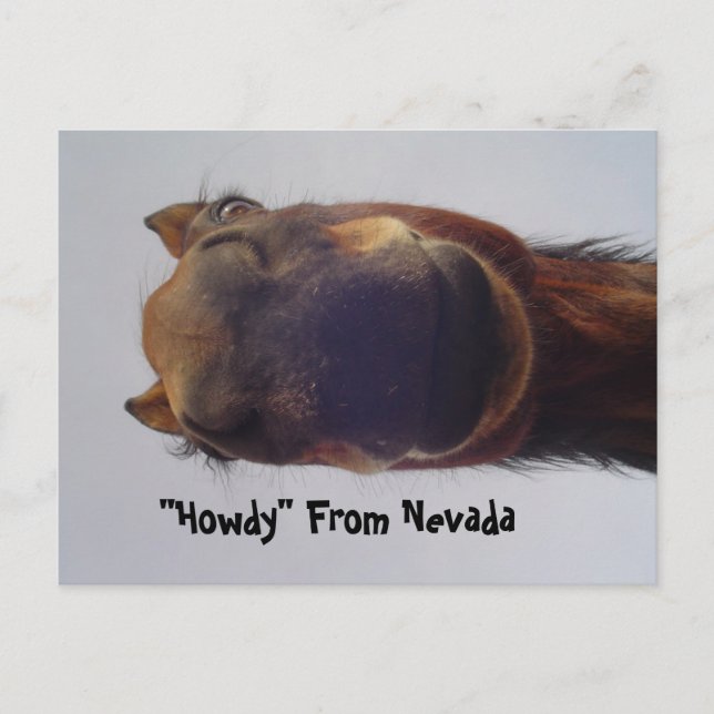 Postal Caballo 1 (Anverso)