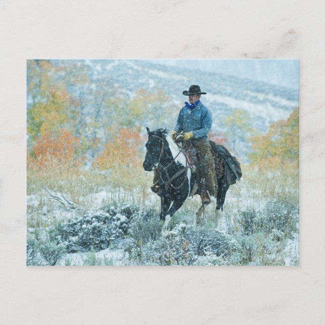 Postal Caballo 19 (Anverso)