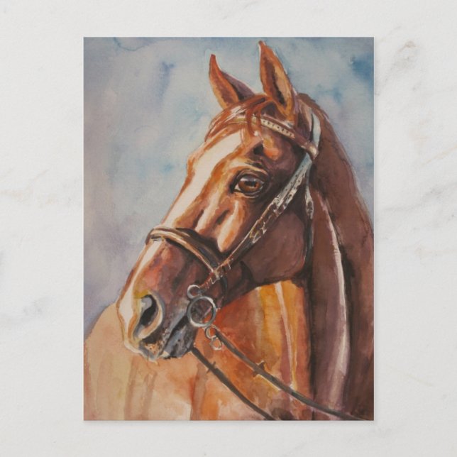 Postal Caballo 2 (Anverso)