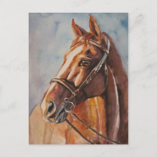 Postal Caballo 2