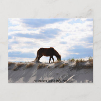 Postal caballo 2, Parque Estatal de la Isla de Assateague
