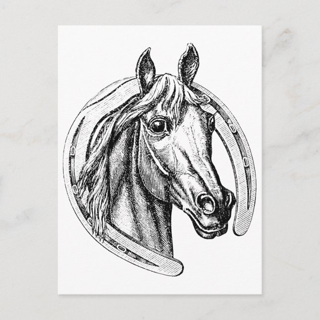 Postal Caballo Afortunado (Anverso)