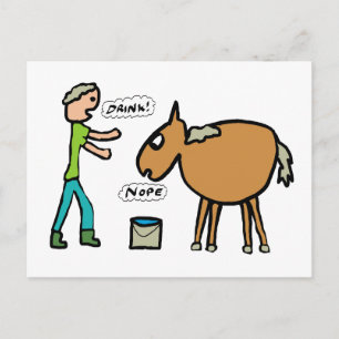 Postal Caballo Al Agua
