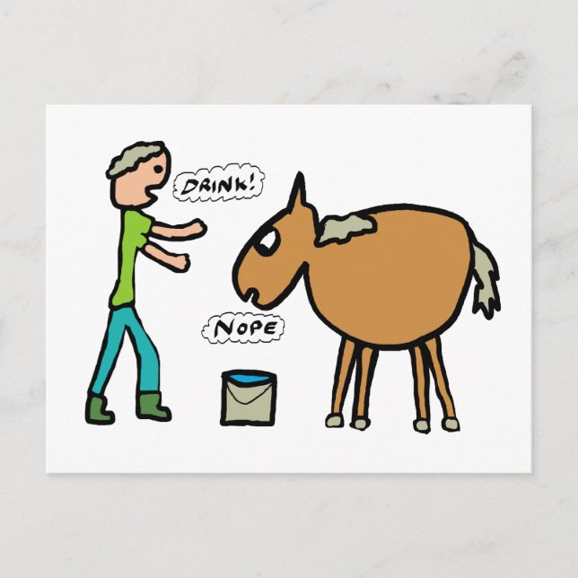 Postal Caballo Al Agua (Anverso)