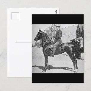 Postal Caballo alzado estadounidense - Foto de un espectá