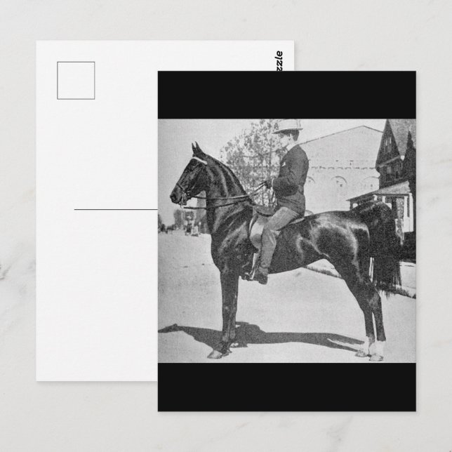 Postal Caballo alzado estadounidense - Foto de un espectá (Anverso / Reverso)