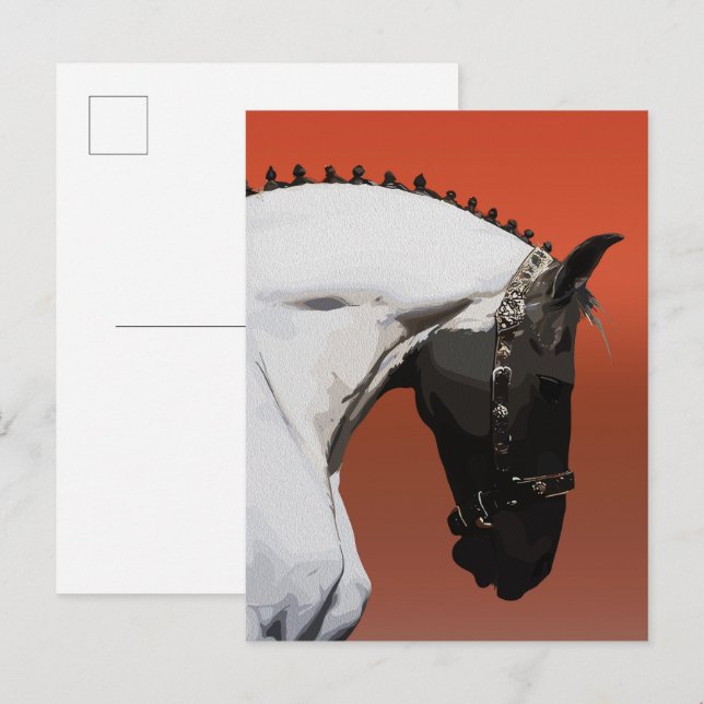 Postal Caballo Andaluz elegante - Arte Ecuestre Majestuos (Anverso / Reverso)