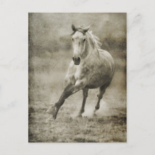 Postal Caballo andaluz galopante ruso