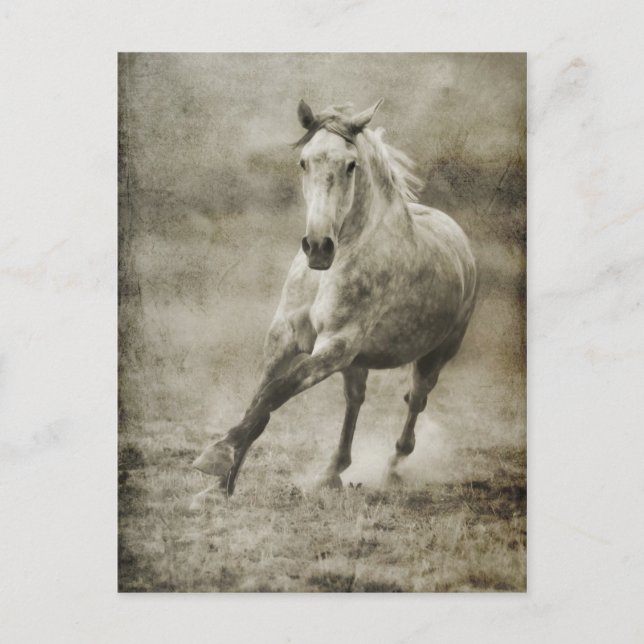 Postal Caballo andaluz galopante ruso (Anverso)