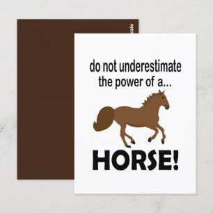 Postal Caballo Animal Lindo Divertido Caballo 